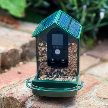 Bird Feeder with Integrated Camera