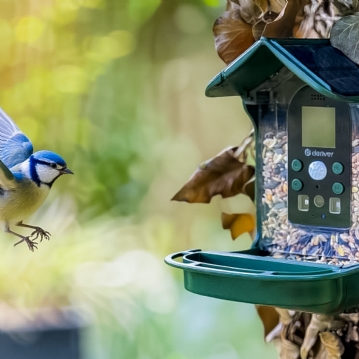 Bird Feeder with Integrated Camera