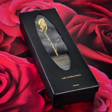 24k Gold Rose