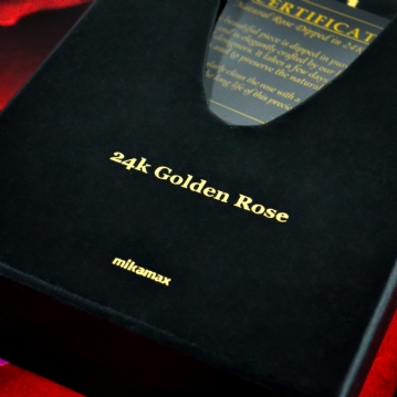 24k Gold Rose