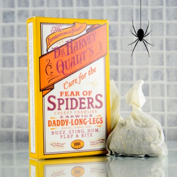 Cure For Fear Of Spiders