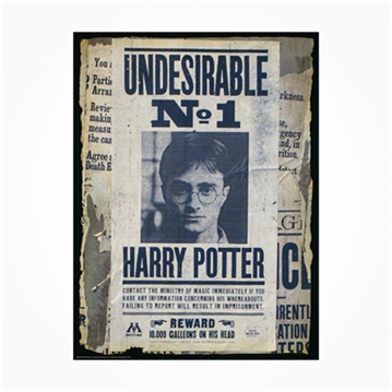 Double Sided Scratch Off Wanted Harry Potter Puzzle