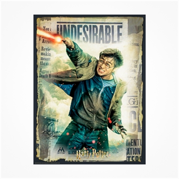 Double Sided Scratch Off Wanted Harry Potter Puzzle