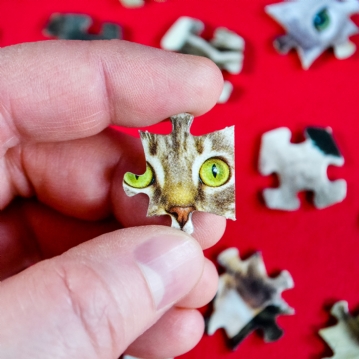 The World's Most Difficult Cat Jigsaw Puzzle