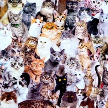 The World's Most Difficult Cat Jigsaw Puzzle
