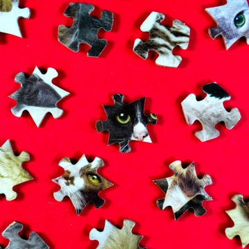 The World's Most Difficult Cat Jigsaw Puzzle