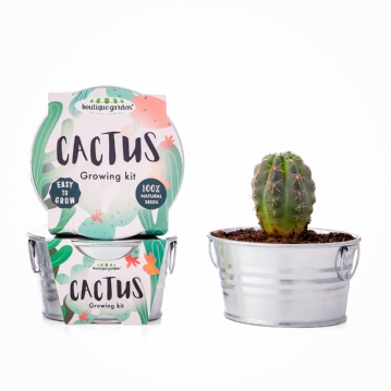 Grow Your Own Cactus Plant