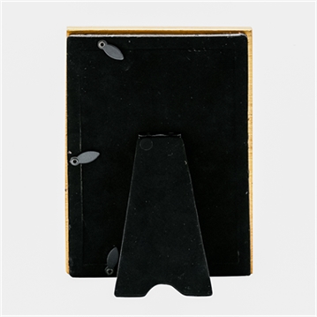 Warner Bros Harry Potter Alumni Gold Hedwig Photo Frame