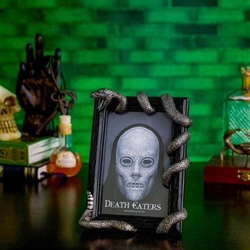 Warner Bros Harry Potter Dark Arts Nagini Frame