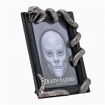 Warner Bros Harry Potter Dark Arts Nagini Frame