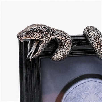 Warner Bros Harry Potter Dark Arts Nagini Frame