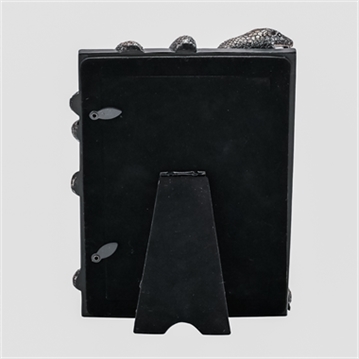 Warner Bros Harry Potter Dark Arts Nagini Frame