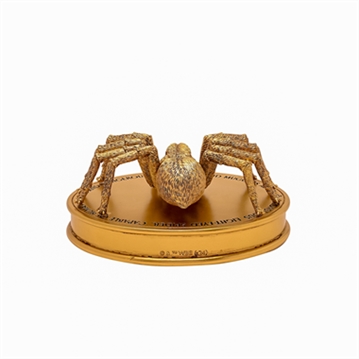 Warner Bros Harry Potter Herbology Aragog Figurine