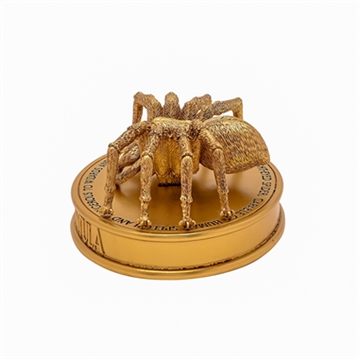 Warner Bros Harry Potter Herbology Aragog Figurine