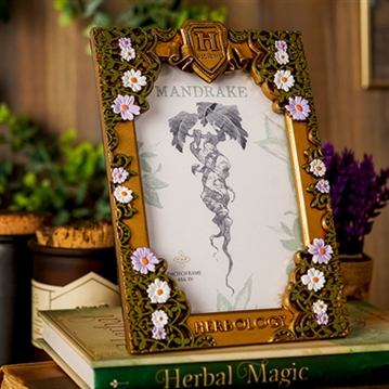 Warner Bros Harry Potter Herbology Frame