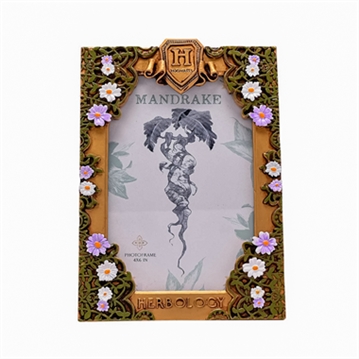 Warner Bros Harry Potter Herbology Frame