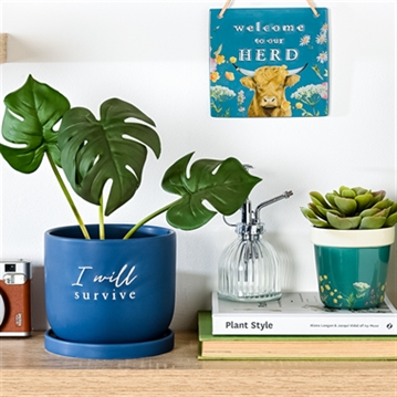 "I Will Survive" Ceramic Plant Pot