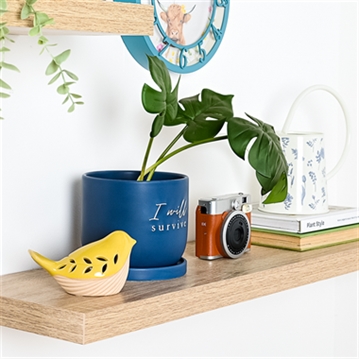 "I Will Survive" Ceramic Plant Pot