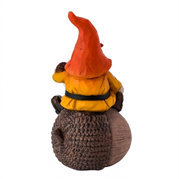 Autumn Gonk Sat on an Acorn