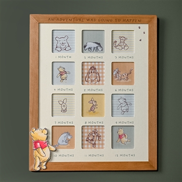 Disney Winnie The Pooh First Year Photo Frame