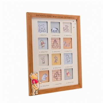 Disney Winnie The Pooh First Year Photo Frame