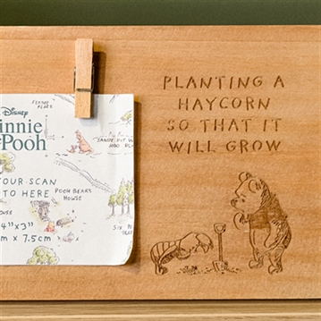 Disney Winnie The Pooh Scan Frame