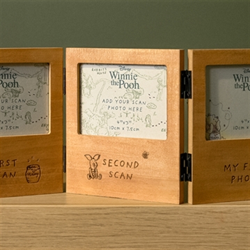 Disney Winnie The Pooh Folding Multi Aperture Scan Frame