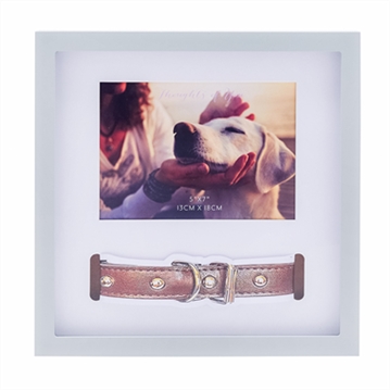 Pet Collar Memorial Frame
