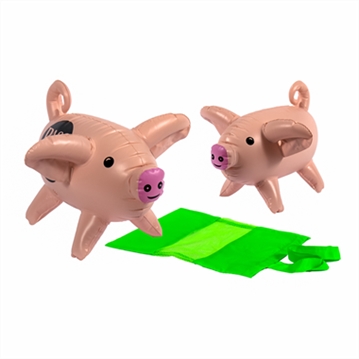 Giant Pass the....Inflatable Dice Games