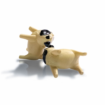 Pass the….Dice Games