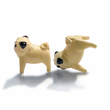 Pass the….Dice Games