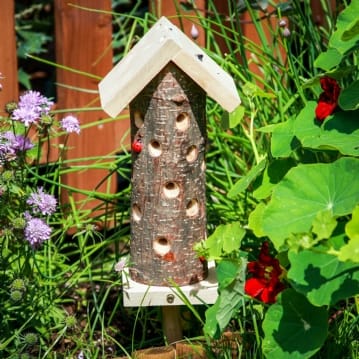 Ladybird House