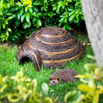Igloo Hedgehog Home
