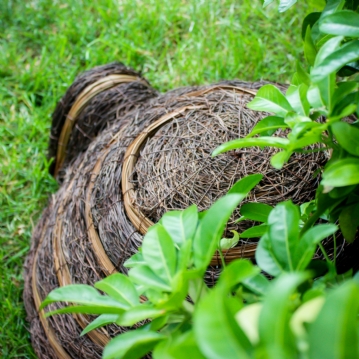Igloo Hedgehog Home