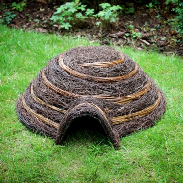 Igloo Hedgehog Home