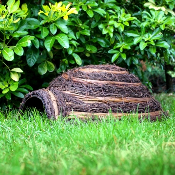 Igloo Hedgehog Home