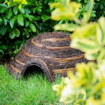 Igloo Hedgehog Home