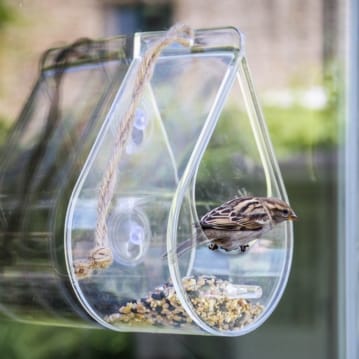 Dewdrop Window Bird Feeder