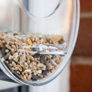 Dewdrop Window Bird Feeder