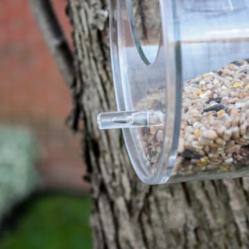 Dewdrop Window Bird Feeder