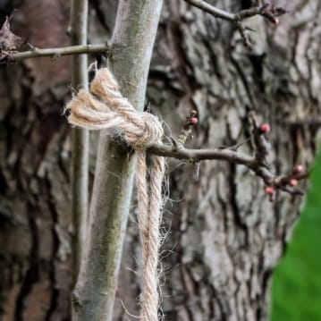 Dewdrop Window Bird Feeder