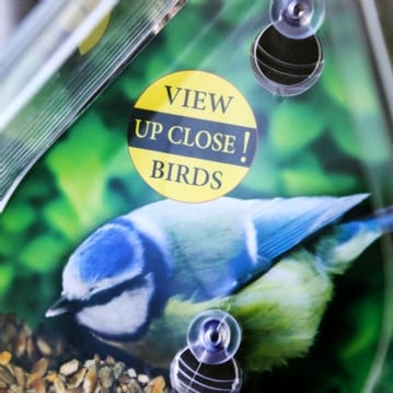 Dewdrop Window Bird Feeder