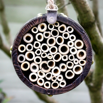 Bee Barrel