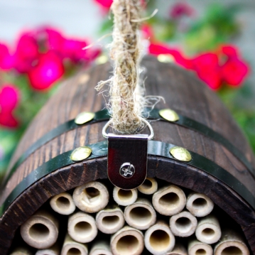 Bee Barrel