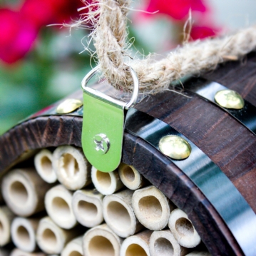 Bee Barrel