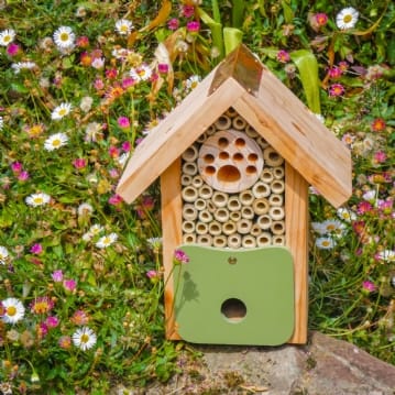 Bee Barn