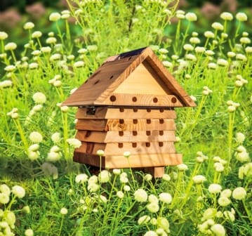 Interactive Solitary Bee Hive