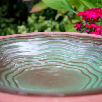 Terracotta Bird Bath with William Blake Quote