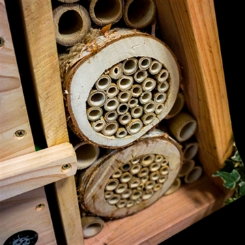 Educational Pyramid Insect Hotel
