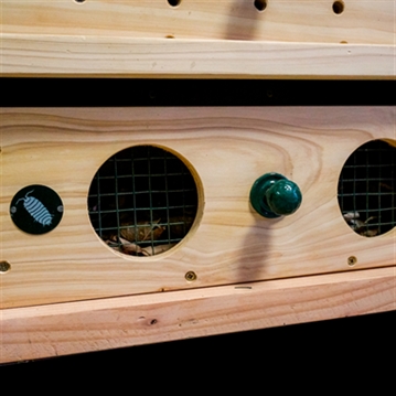 Educational Pyramid Insect Hotel